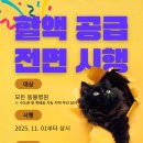 한국고양이혈액센터 이미지