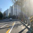 목4동주민센터 앞 이미지