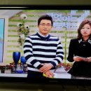 KBS1TV [무엇이든 물어보세요 ] " 갱년기 부부의성 " 재연 / 정자기획 대표배우 김정자,박재권,나광진,최윤정,김종음 이미지