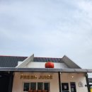 사과창꼬