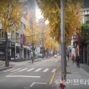 압구정로12길(가로수길) 이미지