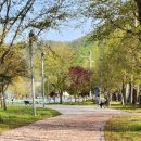 몽샤브칼국수 이미지