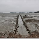 대부도관광안내소 이미지