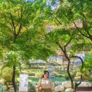 경주 숨겨진 가을단풍명소 옥룡암 단풍 구경 후기