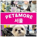 인앤펫 | 팻앤모어 반려동물 박람회 후기