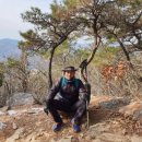 토마토빌리지펜션 이미지