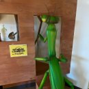 동탄산단7길 이미지