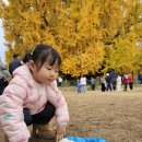 지구친구 🩷하이의 보물주머니🍂🌏 이미지