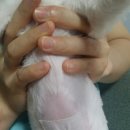 괴정동물병원 이미지