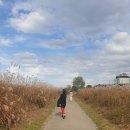 영산강자전거길안내센터 이미지