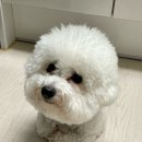 덕만이네 이미지