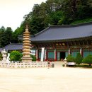 강원 /동해/ 부산 4박5일 이미지