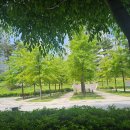 펜션갈까요 이미지