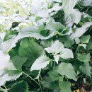 덕림농장 이미지