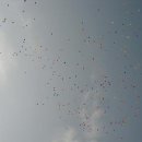 울산소방기술 Daum카페