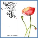 감성공감 캘리그라피 이미지