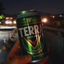 뉴스타코인노래연습장 이미지