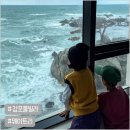 웨이트리 이미지