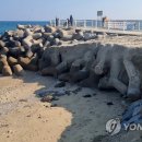 강원대학교 삼척산학협력단 이미지