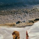 새남식당 이미지