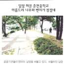 6월26일 춘천 시보에 나와있는 담장을 허문 춘천 중학교 모습 이미지