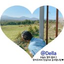 한국맥도날드(유)여의도점 | 발리 길리 여행 일정 / 비용 / 전압 / 후기 총정리