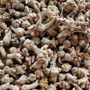 신통약국 이미지