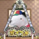 (주)신세계의료기 이미지