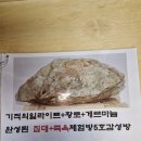 러빙포카라반 이미지
