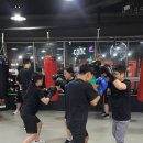 전일복싱 상무관 이미지
