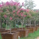 주식회사 미소 이미지