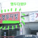 앵두다방 Daum카페