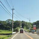 광신민박 | 일본 홈스테이 리얼 후기