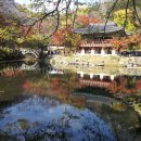 백양사 쌍계루 이미지