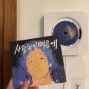 월정그곳 | [제주도] 제주 동쪽 숙소 추천_&#39;달이 뜨는 바닷가&#39; 월정리, 그곳의 작은 돌담집 월정브리즈🌙✨