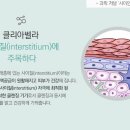 (주)대호개발산업 이미지