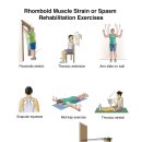 Rhomboid Muscle Strain or Spasm Rehabilitation Exercises 이미지