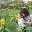 길음뉴타운 8단지 앞 이미지