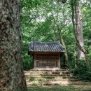 성황림마을 이미지