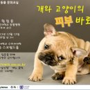 휴동물병원 이미지