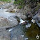 경천주유소 이미지