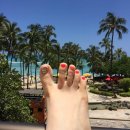 뷰티이너스 이미지