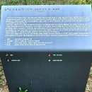 김주신선생묘 이미지