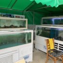 성산포해녀전복 이미지