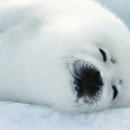 하프PC방 이미지