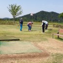 홀리데이파크골프 Daum카페