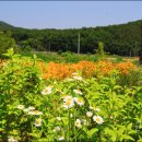 점동체육공원 축구장 이미지