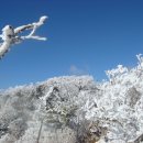 진리의 비상 이미지