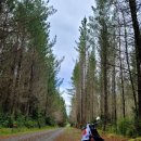 희순목장 | #뉴질랜드 라이딩1