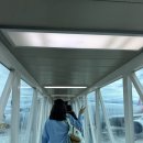 명진카써비스 | 우진해장국 / 키에키커피스탠드 / 가는곶세화 / 명진전복 / 비밀의숲 / 헬로키티랜드 / 오설록 티뮤지엄...